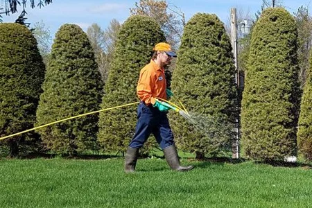 grasshopper lawns technician spraying lawn