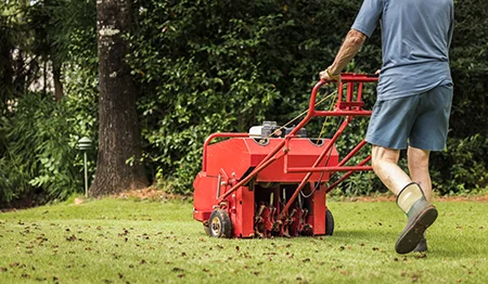 aerating lawn