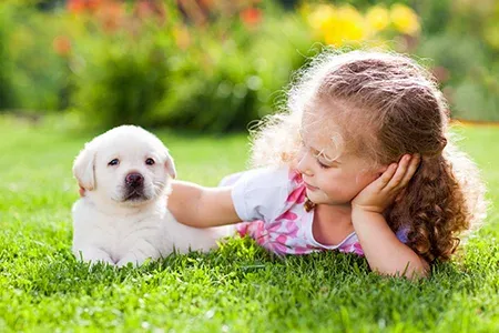 girl playing with puppy outside on lawn