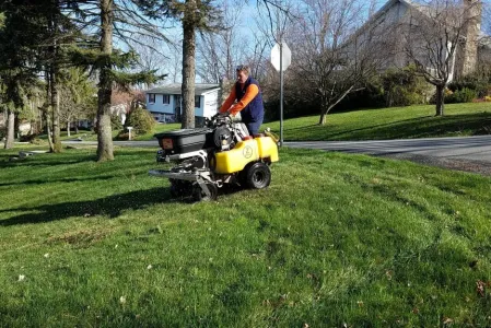 lawn care treatment