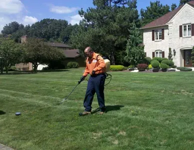 fertilizing lawn