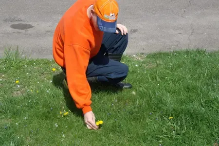 lawn technician inspecting lawn