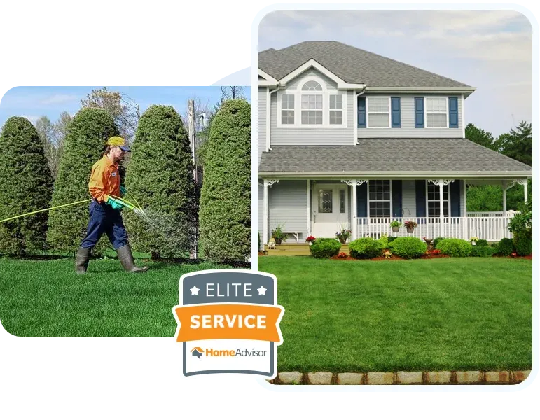 brand image, grasshopper lawns technician and house grid