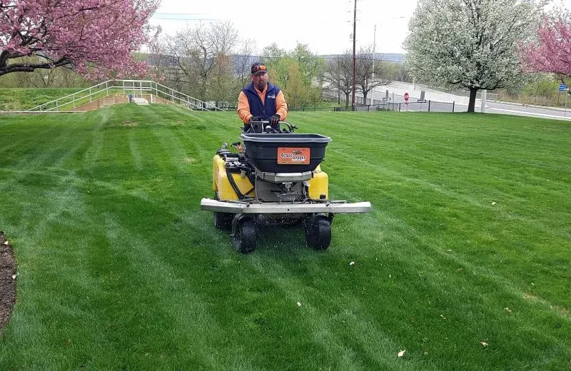 Fertilizing lawn