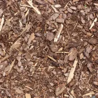 mulch on the ground