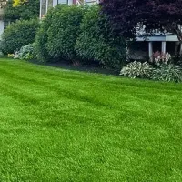 content-beautiful-green-lawn-grass