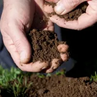 content-hands-feeling-new-soil