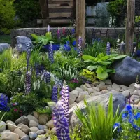 garden-flowers