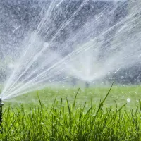 irrigation
