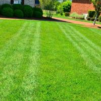 lawn-care