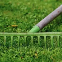 lawn-rake-compressed