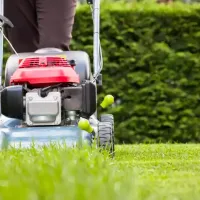 mowing-height