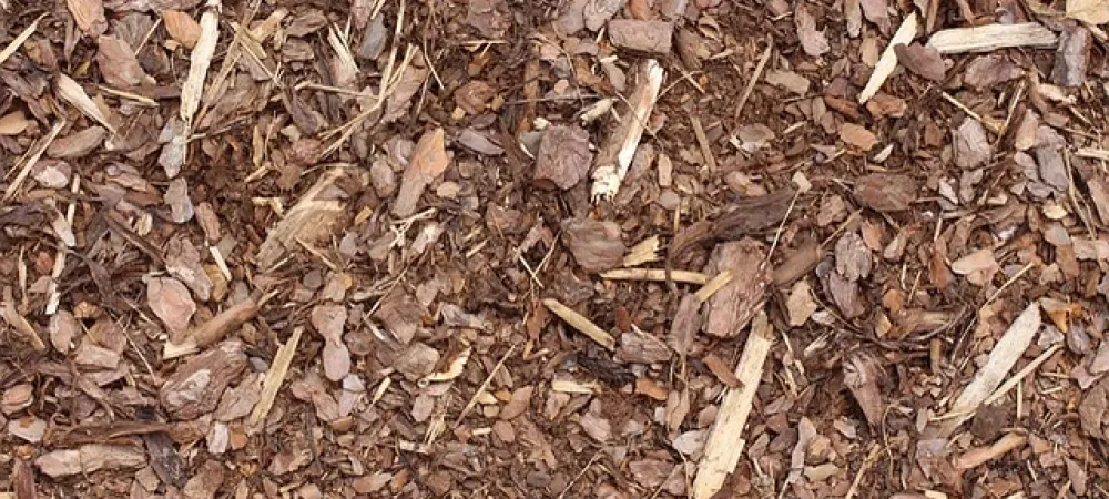 mulch on the ground
