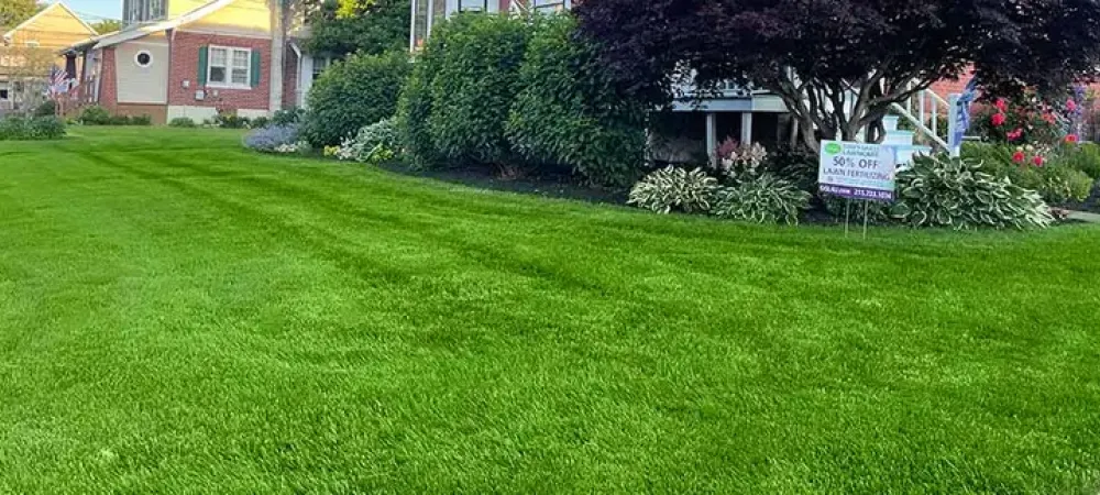content-beautiful-green-lawn-grass