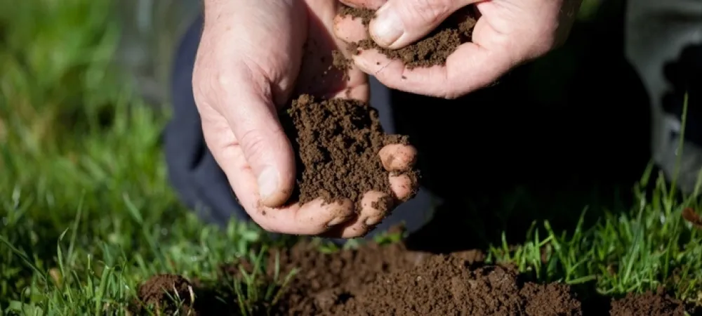 content-hands-feeling-new-soil