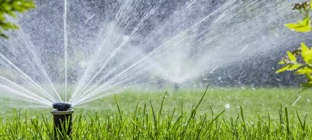 irrigation