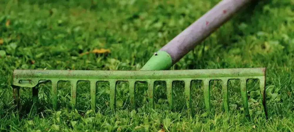 lawn-rake-compressed