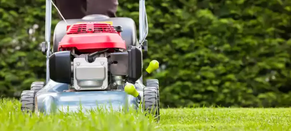 mowing-height