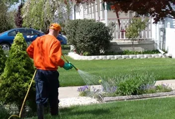 spraying lawn