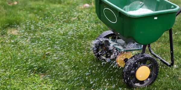 fertilizing lawn