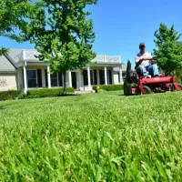 lawn_care_lawn_maintenance