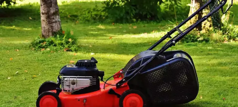 lawn-mower.