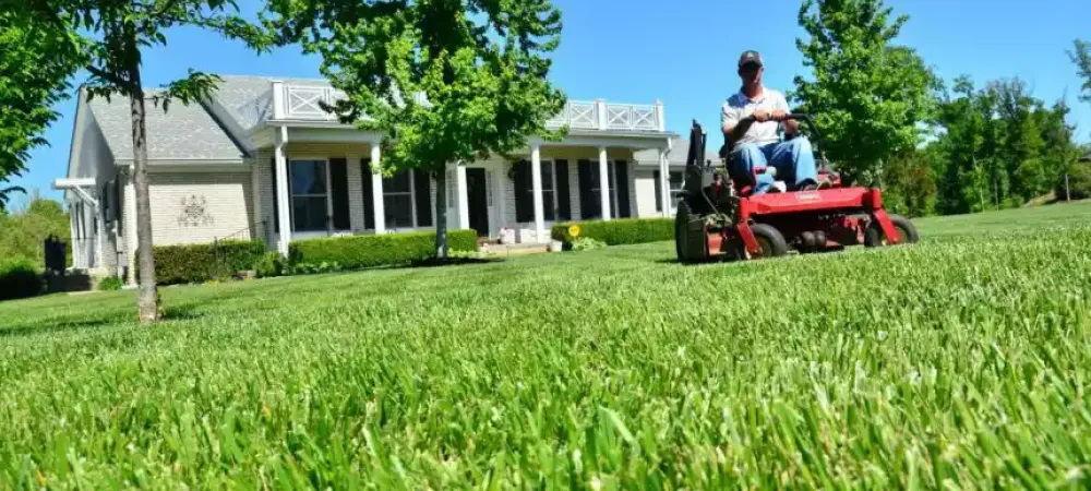 lawn_care_lawn_maintenance