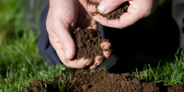 content-hands-feeling-new-soil