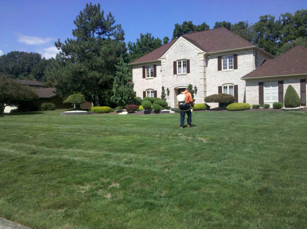 Old Forge Lawn care
