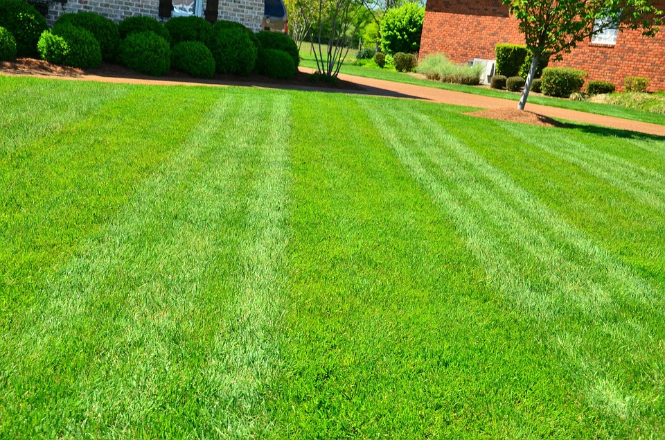 Most Common Hardscapes Landscaping, Green Grass Landscaping Inc